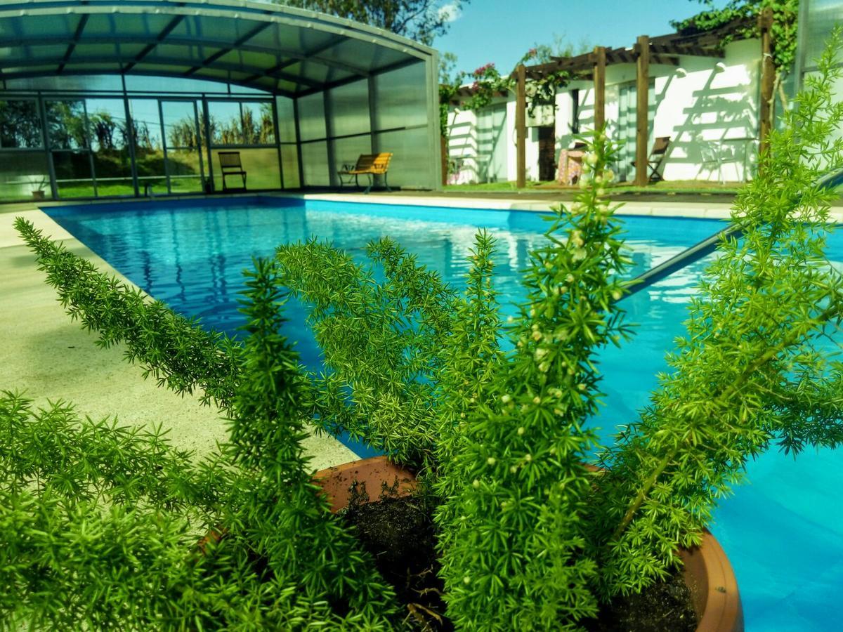 Hotel Complejo Juanjo Ramos à Termas del Daymán Extérieur photo